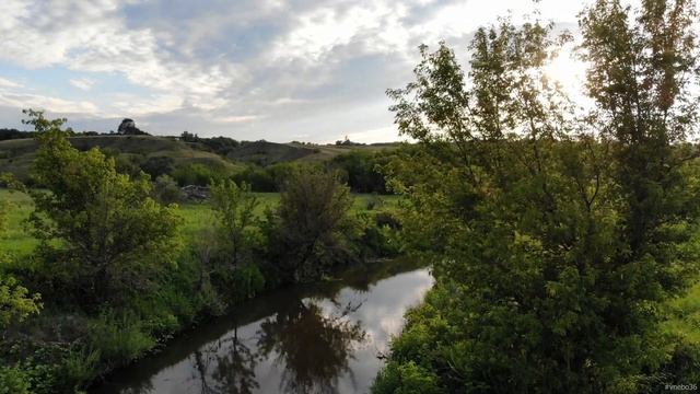 Природа Воронежского края. Лесной заповедник Грибановского района. смотреть онлайн
