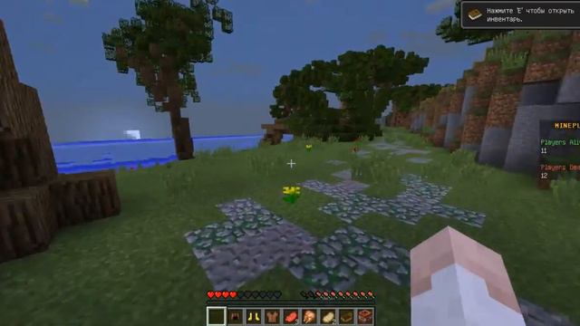 Survival Games #3 первый D M смотреть онлайн