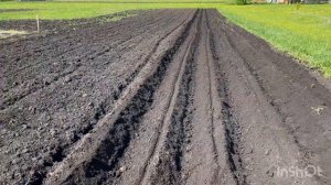 Прсадка картошки мотоболоком Нева с передним, двухрядным окучником.