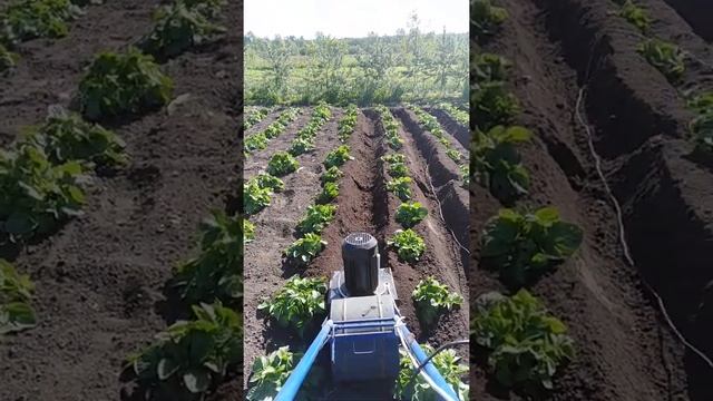 Супер окучиватель "лоплош" смотреть онлайн