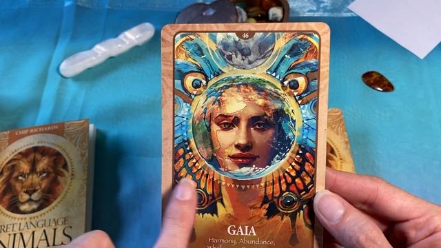 Tarot Unboxing Vol.10 - The Secret Language of Animals Oracle Deck смотреть онлайн
