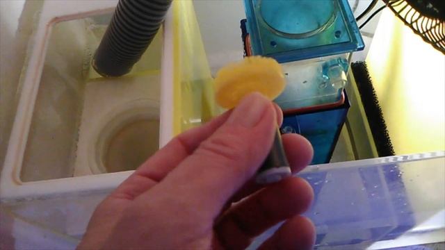 Unique Failure For An Aquamaxx WS-1 Protein Skimmer