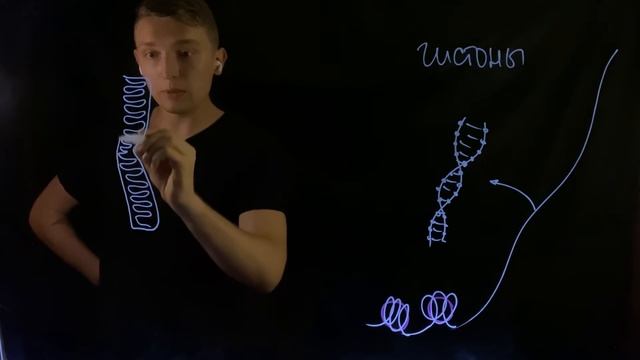 Строение хромосомы для ЕГЭ | Andrey Biology смотреть онлайн