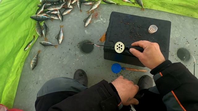 Рыбалка на ТЕПЛОМ Озере,Первый Лед ТРЕЩИТ подо мной!Сижу в ПАЛАТКЕ ,Ловлю ОКУНЯ на Мушки./ВЕДРО!/ смотреть онлайн