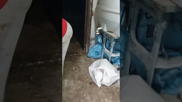откорм баранов комбикормом часть 1 смотреть онлайн