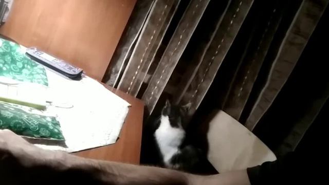 Кир Булычев. Миллион приключений. Глава 2. Появление Геракла