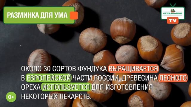 «Московские ярмарки»: удивительный фундук смотреть онлайн