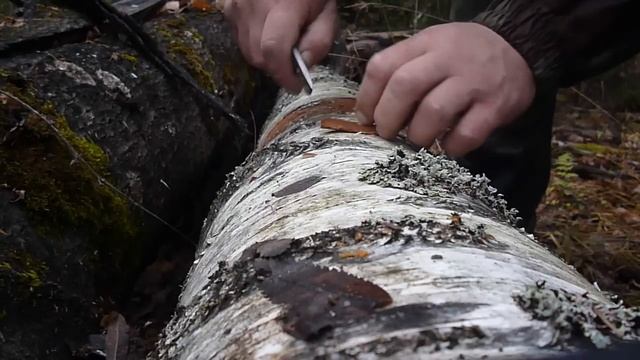 гуделка из бересты при помощи ножа изула смотреть онлайн