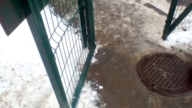 Доводчик на калитке смотреть онлайн