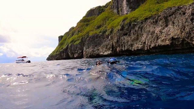 Day Dive West Side Agat Spanish Steps Lost A Huge Coral Trout смотреть онлайн