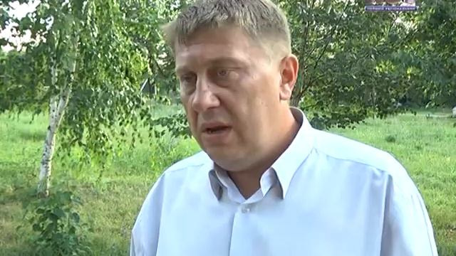 Собираем урожай пшеницы. смотреть онлайн