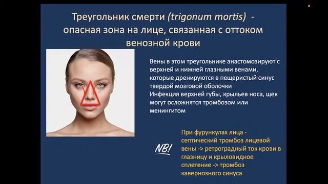 Венозная система. Кровообращение плода. 07.03.22 - 10:25 смотреть онлайн