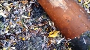 заготовка бересты на ручки ножа