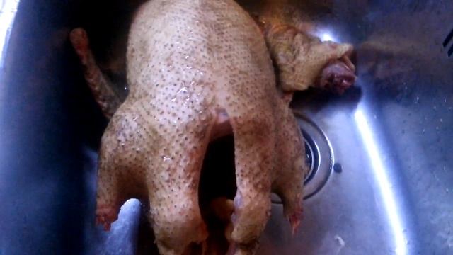 Начали резать уток (Муларды) смотреть онлайн