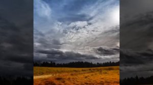 Вивальди осень ноябрь