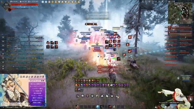 BDO Succession Maegu node war Kamasylvia PvP#2/黒い砂漠 伝承メグ 拠点戦 カーマス4段 灰色の森 100人　おまけ闇100&闇200 смотреть онлайн