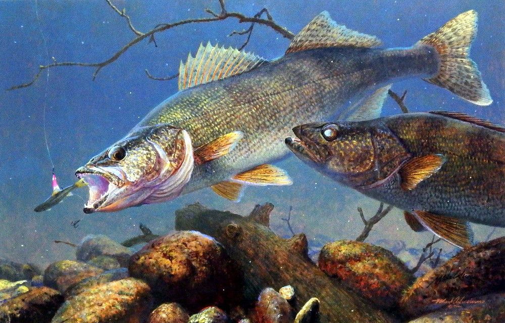 Как Правильно Насадить Тюльку на Снасточку Для ЛОВЛИ хищной Рыбы смотреть онлайн