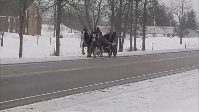 Carson's S.T. Jordan - M36038 смотреть онлайн