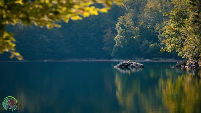 Relaxing Piano Music With Ultimate Nature, Deep Sleep Music, Relaxing Music, Studying Music ⭐️ 53