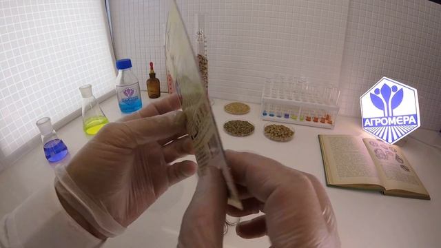 Астра Принцесса. Гавриш смотреть онлайн