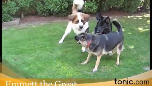 Tonic Minute with Daryn Kagan: 9/02/09 смотреть онлайн