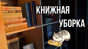 РЕОРГАНИЗАЦИЯ КНИЖНЫХ ПОЛОК 📔📚 УБОРКА на полках 🧽🧼