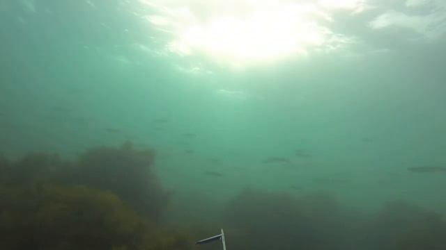 Ход лобана 2014. смотреть онлайн