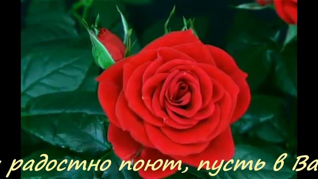 Красивые поздравления с 8 Марта! смотреть онлайн