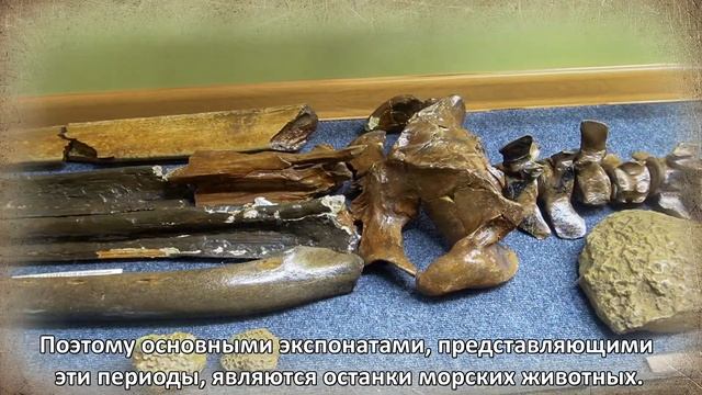 Экспозиция Флора и фауна Северо-Западного Кавказа (Геология С-З Кавказа) смотреть онлайн