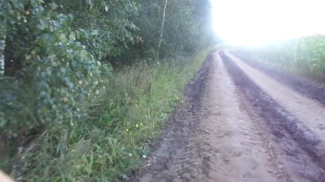 Все поля засажены Кукурузой для корма скотине. смотреть онлайн