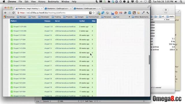Drupal Tutorial - Aegir on Omega 8 - Making a Platform смотреть онлайн