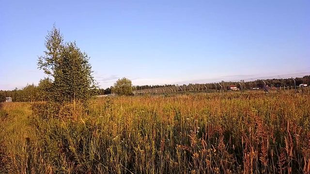 Вечером за городом. ч.4. Август 2023 смотреть онлайн