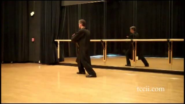 Cheng Man Ching Yang Tai Chi 37 Form Fast - Slow Comparison 楊氏 太极拳