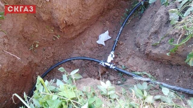 Можно ли сажать деревья рядом с газгольдером? | Автономная газификация смотреть онлайн