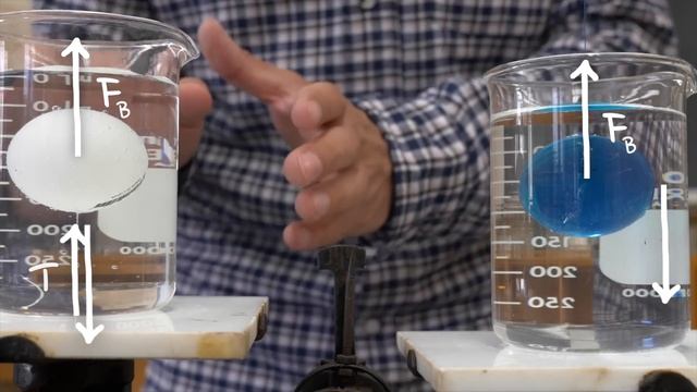 Explained: Beaker Ball Balance Problem смотреть онлайн