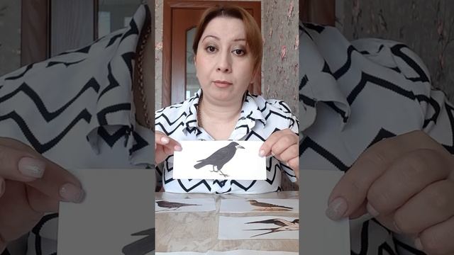 Экология. "Перелетные птицы". смотреть онлайн