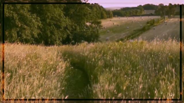 {Meme} | Если бы при встрече со мной вы видели мой внутренний мир 🎀 | By: Freach Berry 🐮 смотреть онлайн