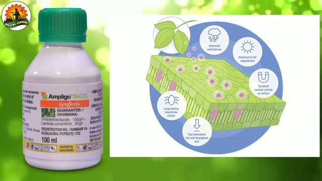 Ampligo | Syngenta Ampligo Insecticide | Broad Spectrum Insecticide | Best Insecticide 2019 смотреть онлайн