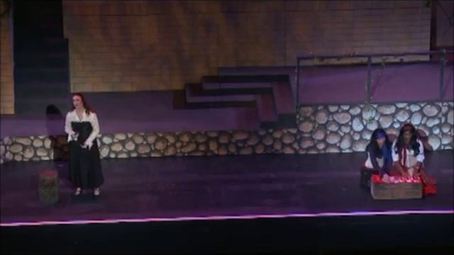 Bizet's Carmen "Card Scene" Kathleen McVicker смотреть онлайн