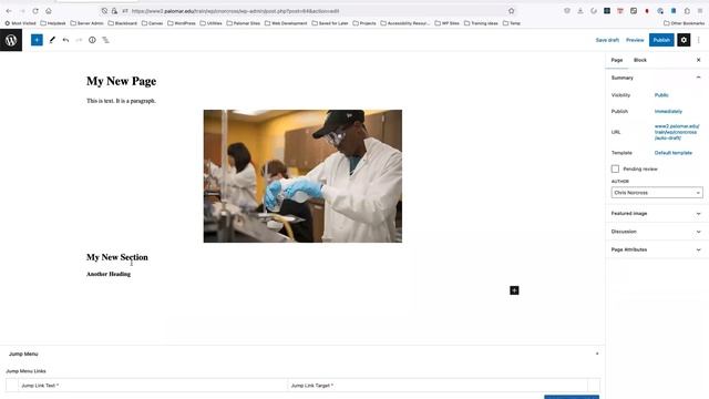 Using the WordPress Block Editor (Spring 2023) смотреть онлайн