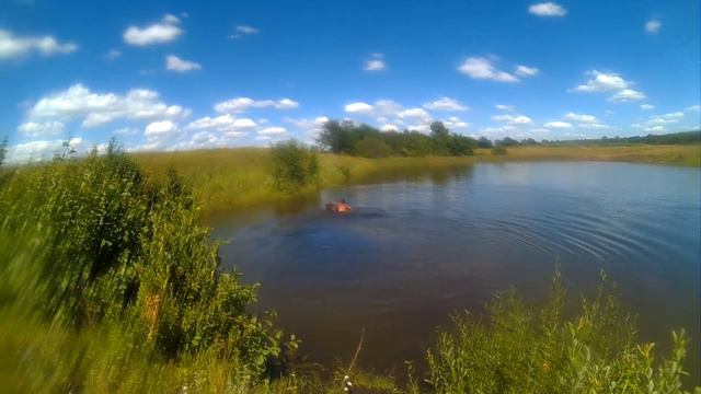 купание коня смотреть онлайн