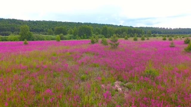 ТАТАРСТАН ТЕТЕЕВО смотреть онлайн