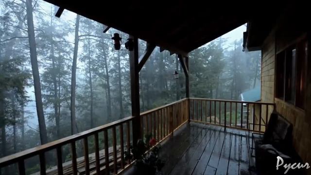 Тополиный пух- Андрей Оршуляк смотреть онлайн