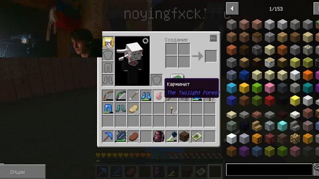 ПРОХОЖДЕНИЕ С МОДАМИ смотреть онлайн