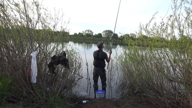 ФИДЕР ЛЕЩ! Эта классная погода подарила еще один прекрасно проведенный день на рыбалке! смотреть онлайн