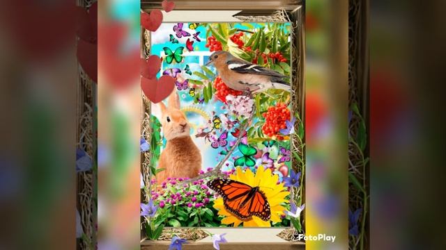 Продолжение 7 Приключения бабушки Шиншиллы в большом городе или....