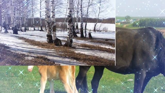 РӘЗИФ ГАЛИЕВ "САГЫНАМ СИНЕ, РСАЕМ!" ГҮЗӘЛИЯ ХӘКИМҖАНОВА АВЫЛКАЕМ РСАЕМ ФӘНӘВИС ДӘҮЛӘТБАЕВ смотреть онлайн