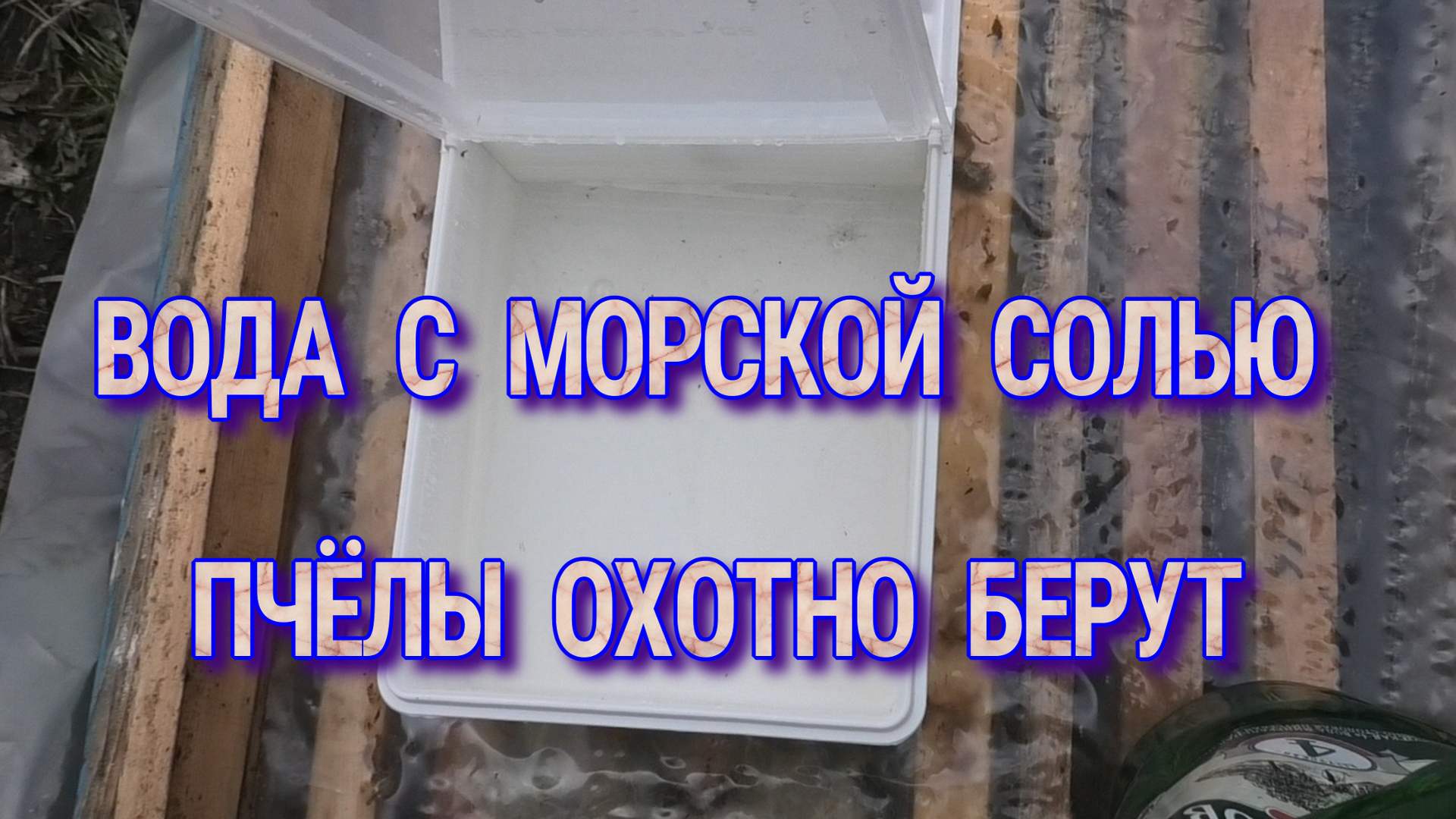 ПЧЁЛЫ АКТИВНО ЗАБИРАЮТ ВОДУ. смотреть онлайн
