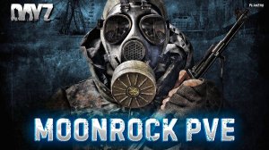 DAYZ STALKER | СЕРВЕР С БОТАМИ MOONROCK PVE | ПО КВЕСТАМ #2