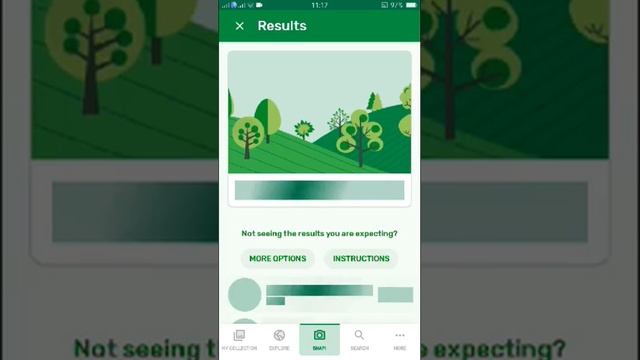 PlantSnap identifies a Desert surprise (Kalanchoe humilis) смотреть онлайн